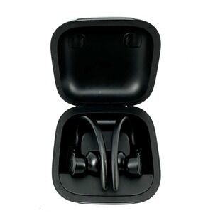 Beats by Dr. Dre Powerbeats Pro Wireless Bluetooth Ear-hook Earbuds Black